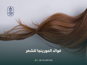 فوائد المورينجا للشعر وكيفية استخدام المورينجا للشعر عشبة وزيت المورينقا لتغذية وكثافة الشعر و هل هي مفيدة للشعر الأبيض والتالف والجاف والتساقط، وما أضرار المورينجا